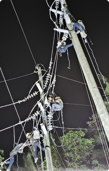 Story Image 12